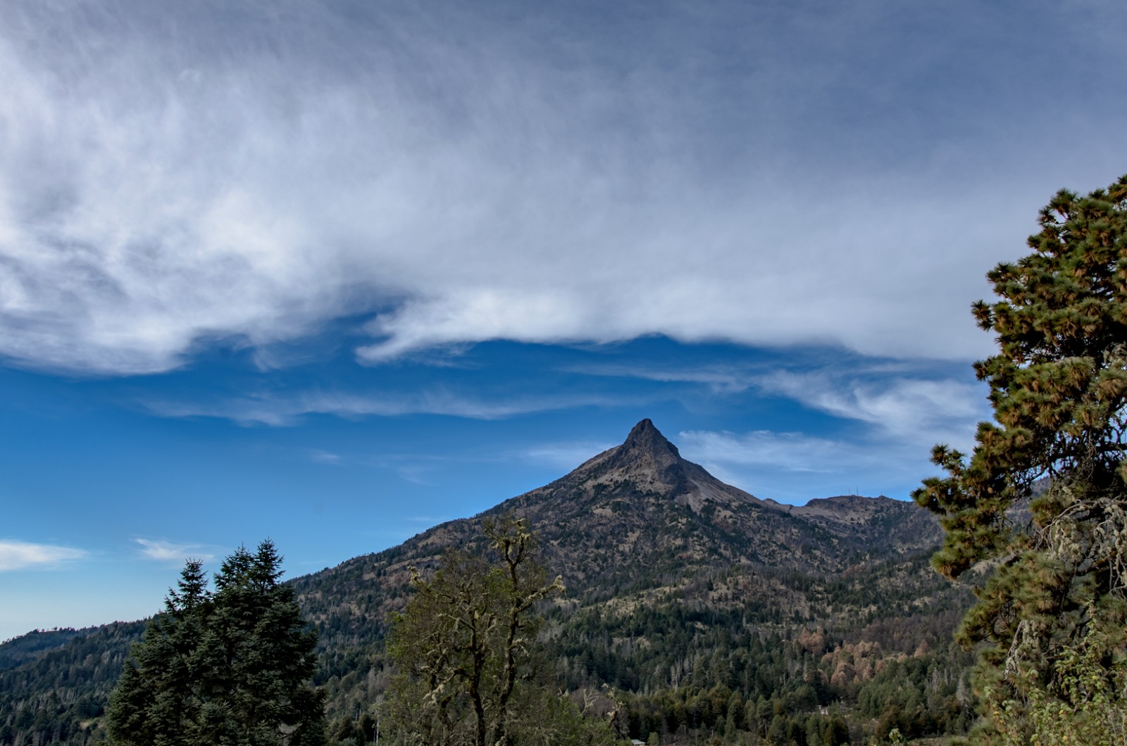 Colima Forests Conoce el Nevado de Colima | Nevado de Colima